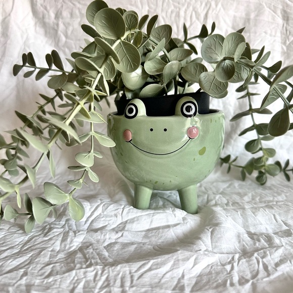 Green Frog Ceramic Trinket Dish - Picture 9 of 9